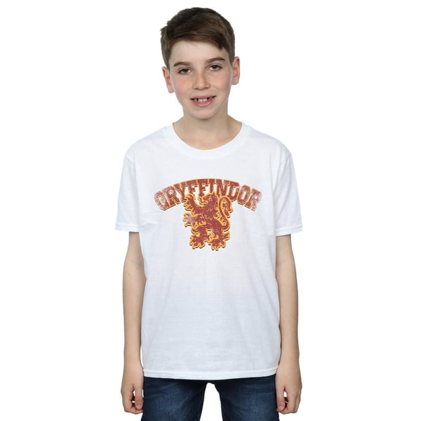 Harry Potter Boys Gryffindor Sport Emblem T-Shirt