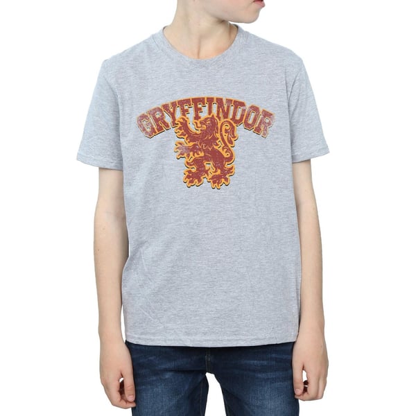 Harry Potter Boys Gryffindor Sport Emblem T-Shirt