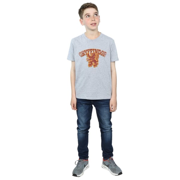 Harry Potter Boys Gryffindor Sport Emblem T-Shirt