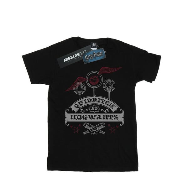 Harry Potter Boys Quidditch At Hogwarts T-Shirt