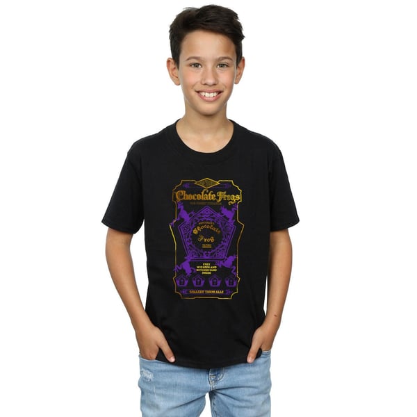 Harry Potter Boys Chocolate Frogs Coloured Label T-Shirt