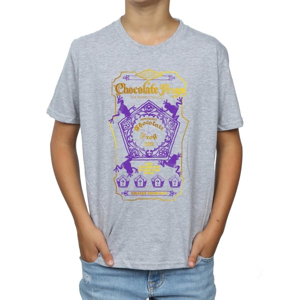 Harry Potter Boys Chocolate Frogs Coloured Label T-Shirt