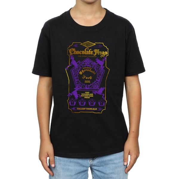 Harry Potter Boys Chocolate Frogs Coloured Label T-Shirt
