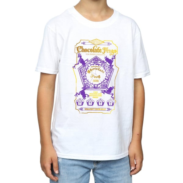 Harry Potter Pojkar Chokladgrodor Färgad Etikett T-Shirt