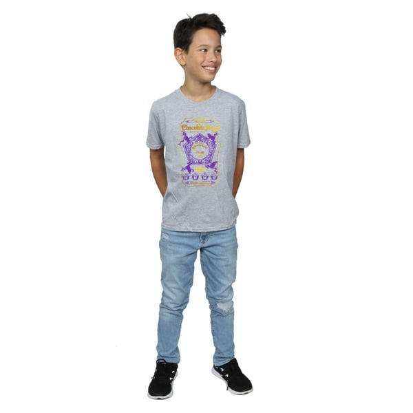 Harry Potter Boys Chocolate Frogs Coloured Label T-Shirt