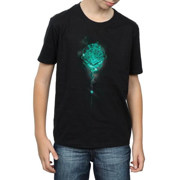 Harry Potter Boys Hogwarts Crest Mist T-Shirt