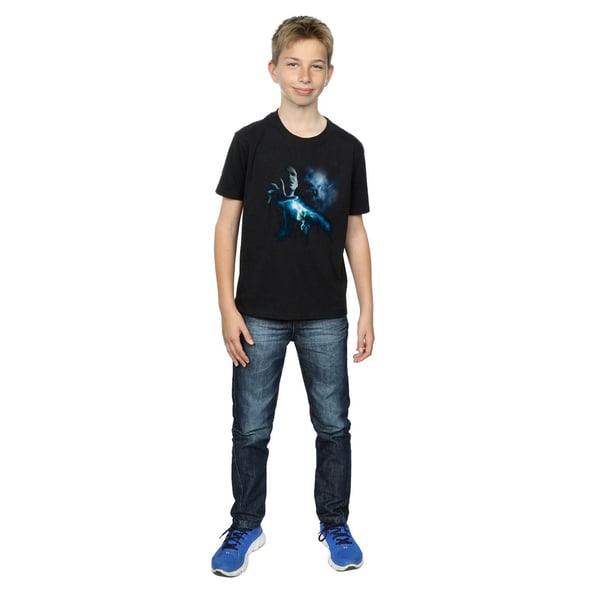 Harry Potter Boys Voldemort Shadow T-Shirt