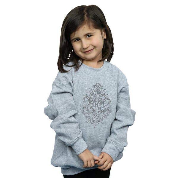 Harry Potter Girls Hogwarts Draco Dormiens Crest Sweatshirt