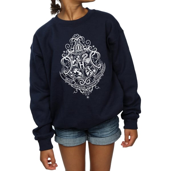 Harry Potter Girls Hogwarts Draco Dormiens Crest Sweatshirt