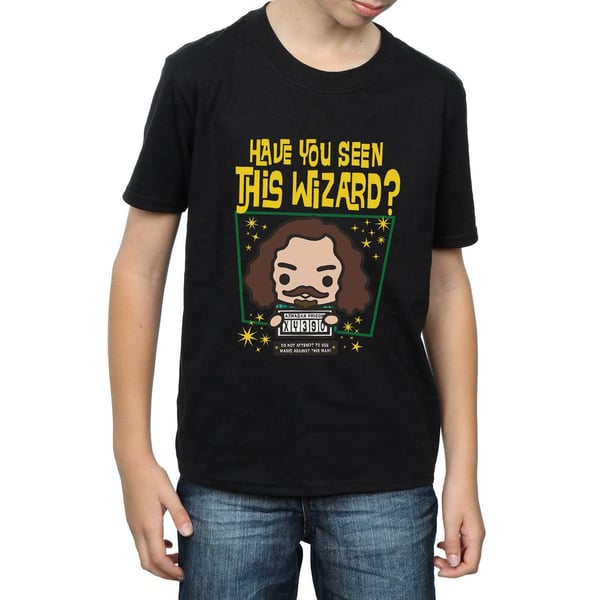 Harry Potter Boys Sirius Black Azkaban Junior T-Shirt