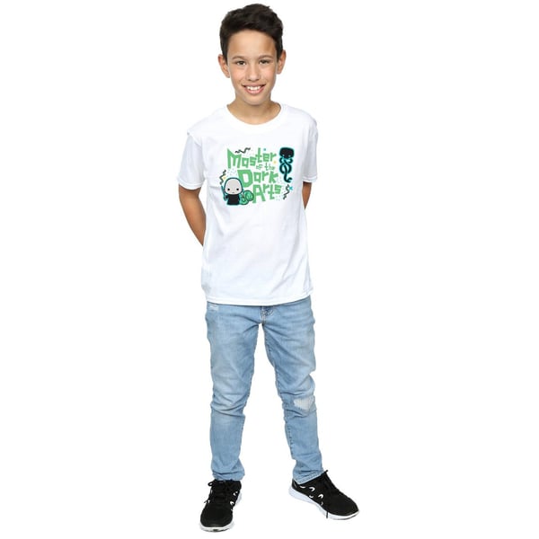 Harry Potter Boys Voldemort Dark Arts Junior T-Shirt