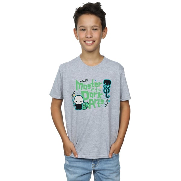 Harry Potter Boys Voldemort Dark Arts Junior T-Shirt