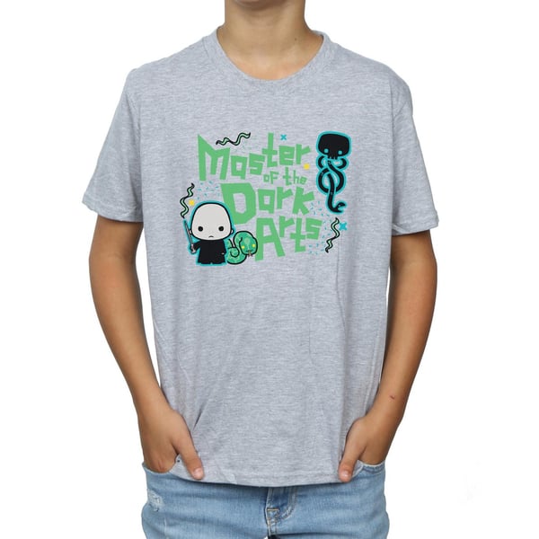 Harry Potter Boys Voldemort Dark Arts Junior T-Shirt