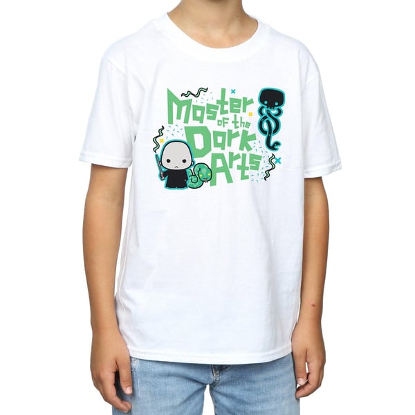 Harry Potter Boys Voldemort Dark Arts Junior T-Shirt