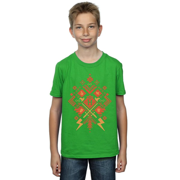 Harry Potter Boys Christmas Fair Isle T-Shirt