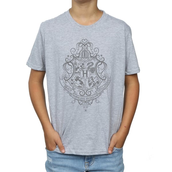 Harry Potter Boys Hogwarts Draco Dormiens Crest T-Shirt