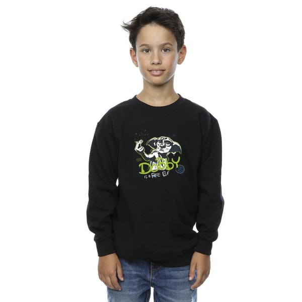 Harry Potter Boys Dobby A Free Elf Sweatshirt