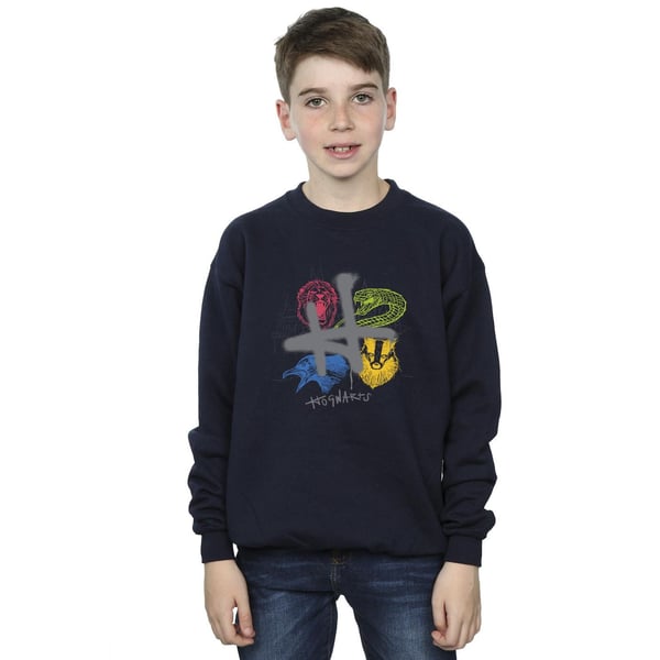 Harry Potter Boys Emblems H Spray Sweatshirt