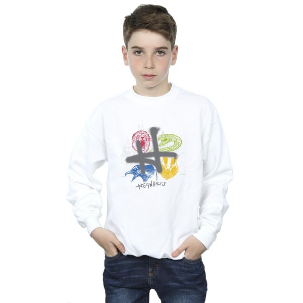 Harry Potter Boys Emblems H Spray Sweatshirt