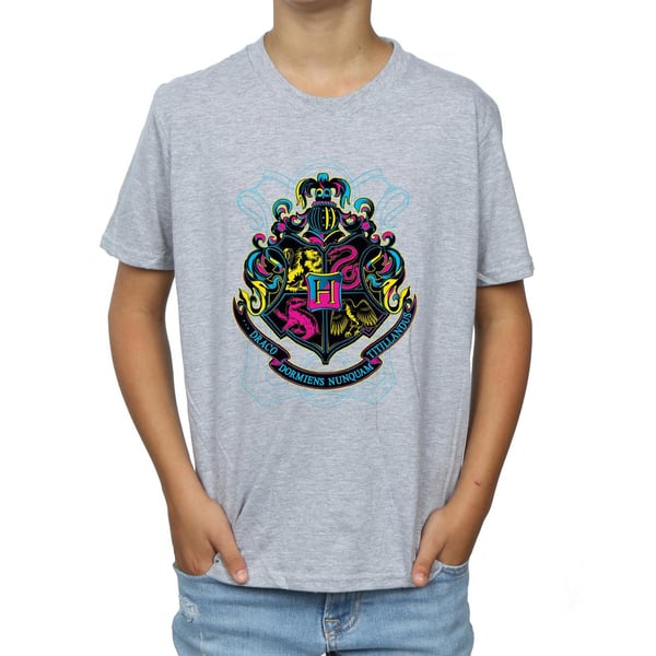 Harry Potter Boys Neon Hogwarts Crest T-Shirt
