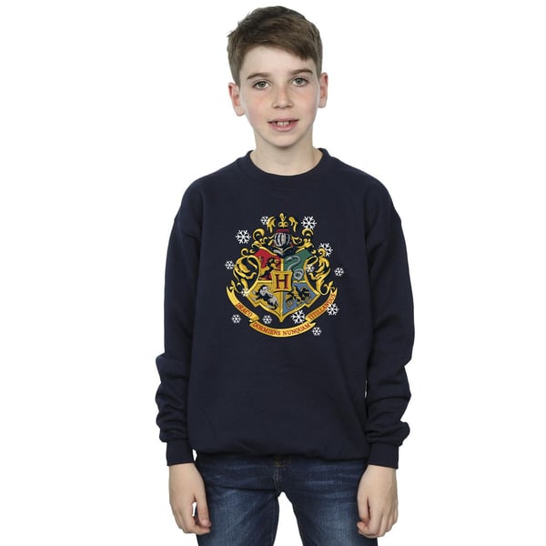 Harry Potter Boys Christmas Crest Sweatshirt