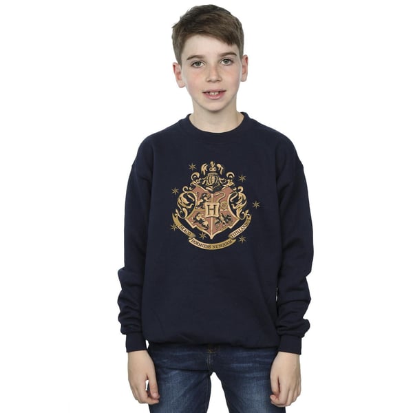 Harry Potter Boys Gold Hogwart Crest Sweatshirt