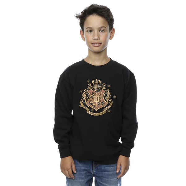 Harry Potter Boys Gold Hogwart Crest Sweatshirt