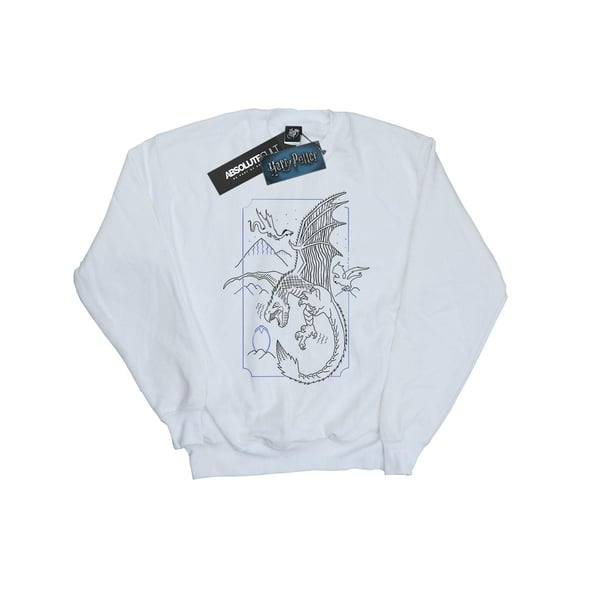 Harry Potter Womens/Ladies Dragon Line Art Sweatshirt