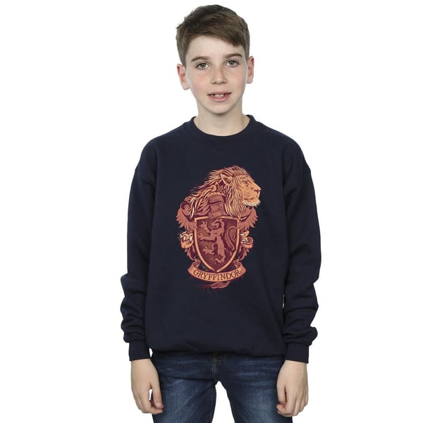 Harry Potter Boys Gryffindor Sketch Crest Sweatshirt