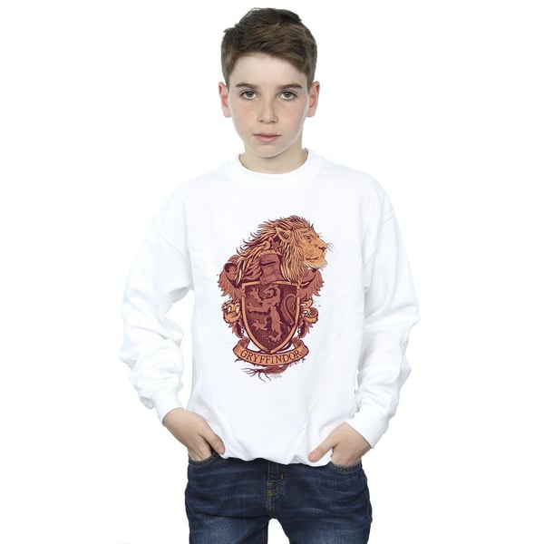 Harry Potter Boys Gryffindor Sketch Crest Sweatshirt