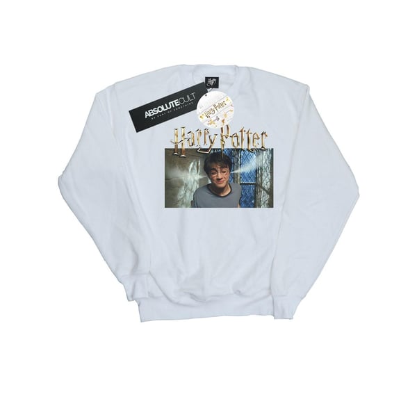 Harry Potter Tyttöjen Steam Ears -collegepaita