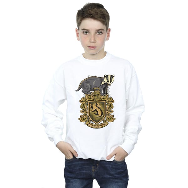 Harry Potter Boys Hufflepuff Sketch Crest Sweatshirt