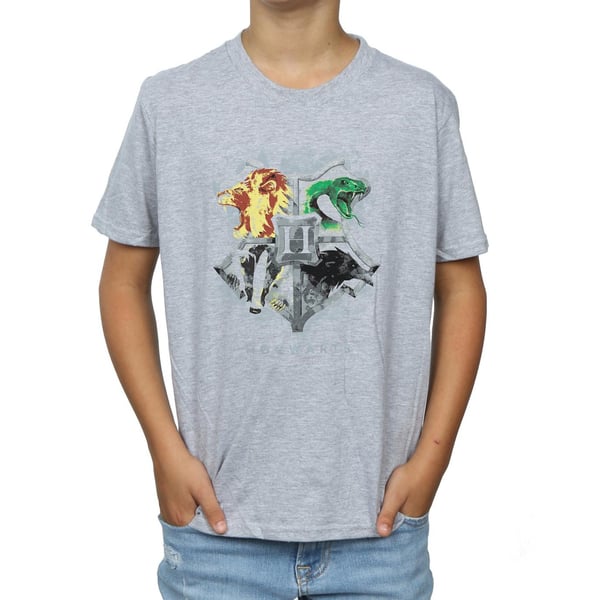 Harry Potter Boys Hogwarts Painted Crest T-Shirt