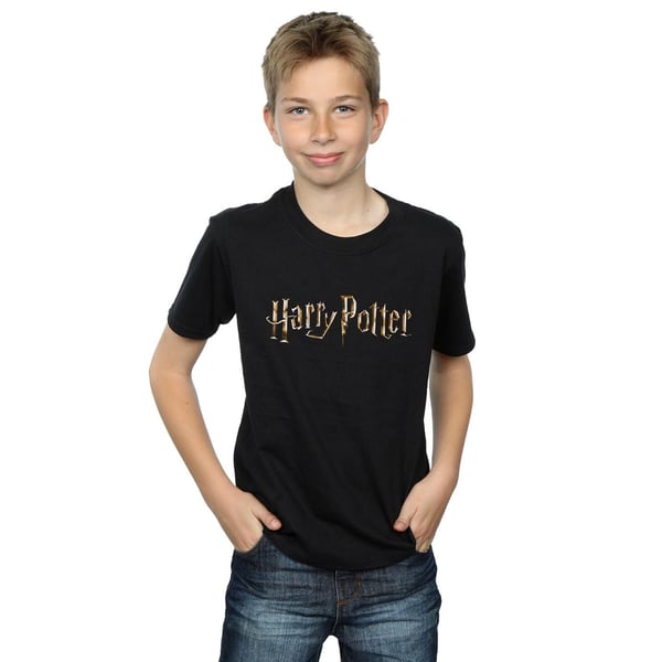 Harry Potter Boys Full Colour Logo T-Shirt