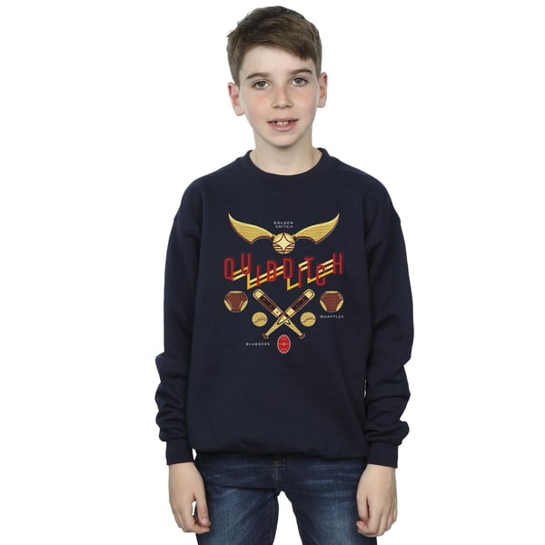 Harry Potter Boys Quidditch Golden Snitch Sweatshirt