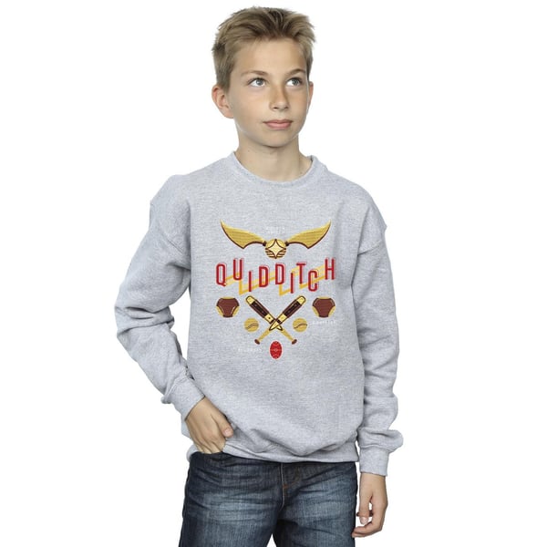 Harry Potter Boys Quidditch Golden Snitch Sweatshirt