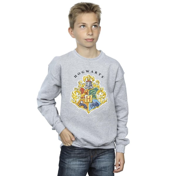 Harry Potter Boys Hogwarts School Emblem Sweatshirt