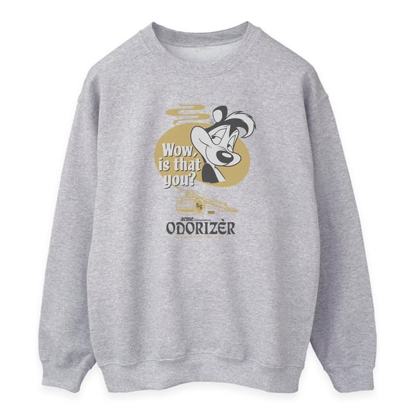 Looney Tunes Womens/Ladies Odorizer Pepe Le Pew Sweatshirt