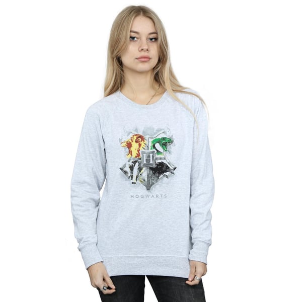 Harry Potter Womens/Ladies Hogwarts Painted Crest Sweatshirt