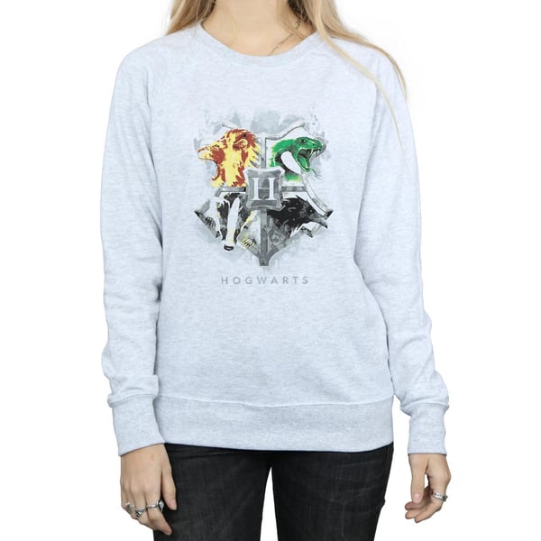 Harry Potter Womens/Ladies Hogwarts Painted Crest Sweatshirt
