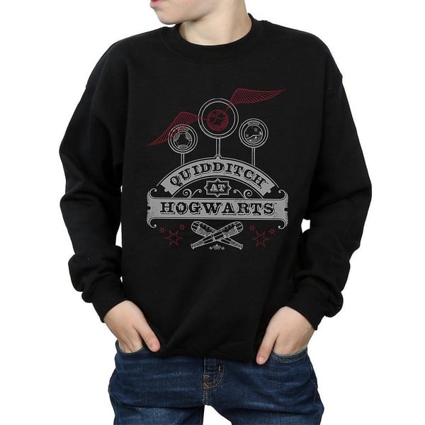 Harry Potter Boys Quidditch At Hogwarts Sweatshirt