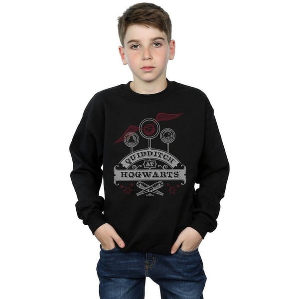 Harry Potter Boys Quidditch At Hogwarts Sweatshirt