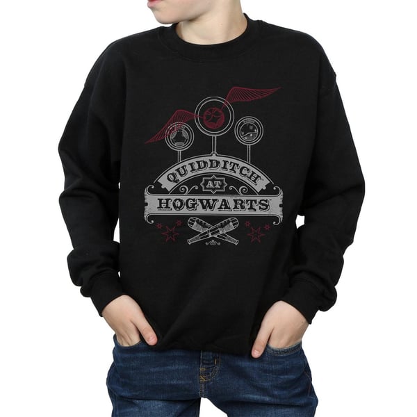 Harry Potter Boys Quidditch At Hogwarts Sweatshirt