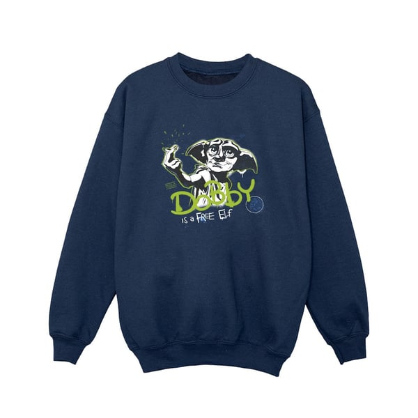 Harry Potter Girls Dobby A Free Elf Sweatshirt