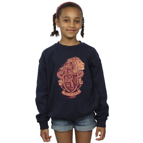 Harry Potter Girls Gryffindor Sketch Crest Sweatshirt