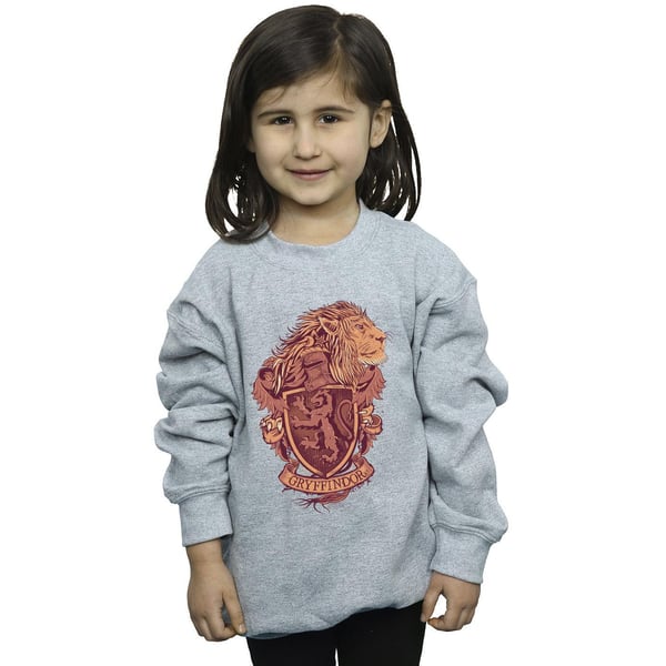 Harry Potter Girls Gryffindor Sketch Crest Sweatshirt
