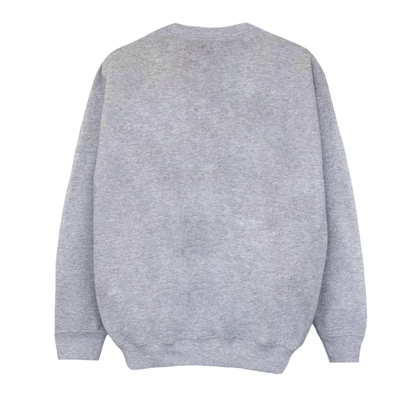 Disney Girls Next Princess Sweatshirt