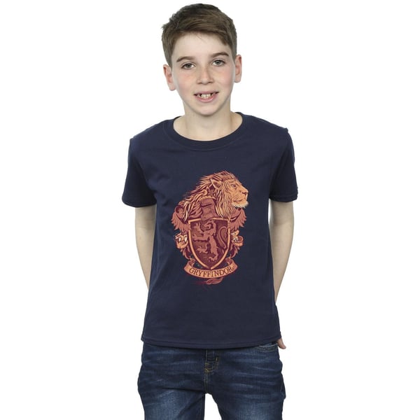 Harry Potter Boys Gryffindor Sketch Crest T-Shirt