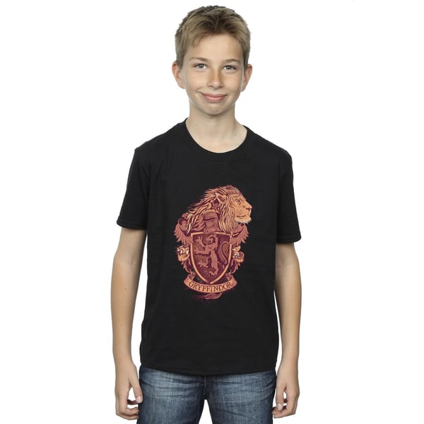 Harry Potter Boys Gryffindor Sketch Crest T-Shirt