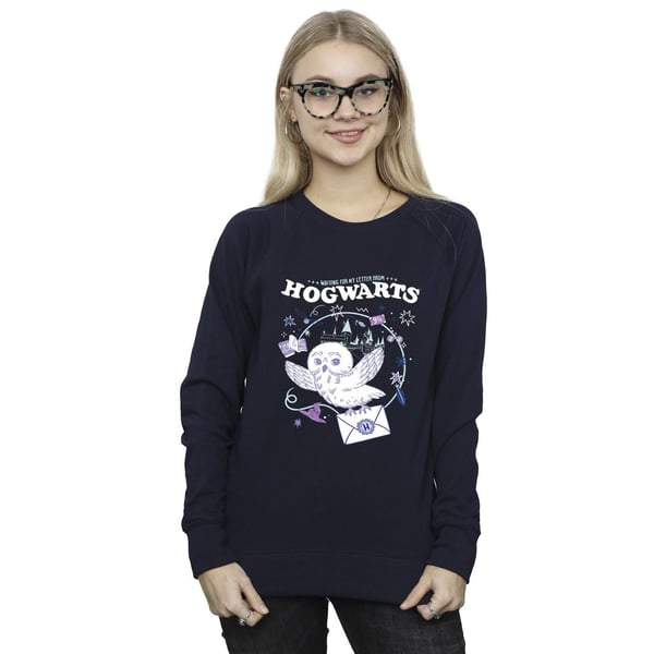 Harry Potter Womens/Ladies Owl Letter From Hogwarts Sweatshirt